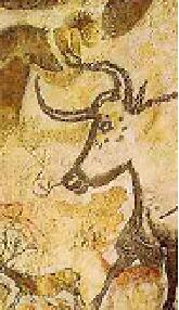LASCAUX.jpg