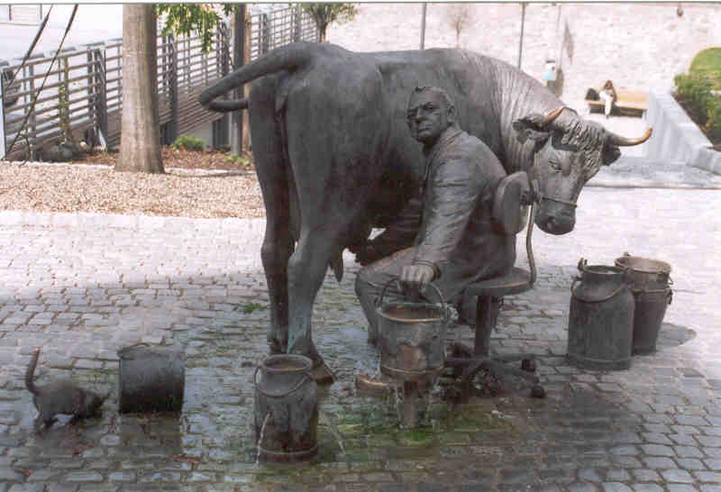 ISNY - COW